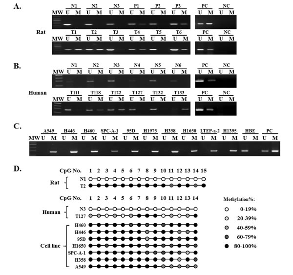 fig1