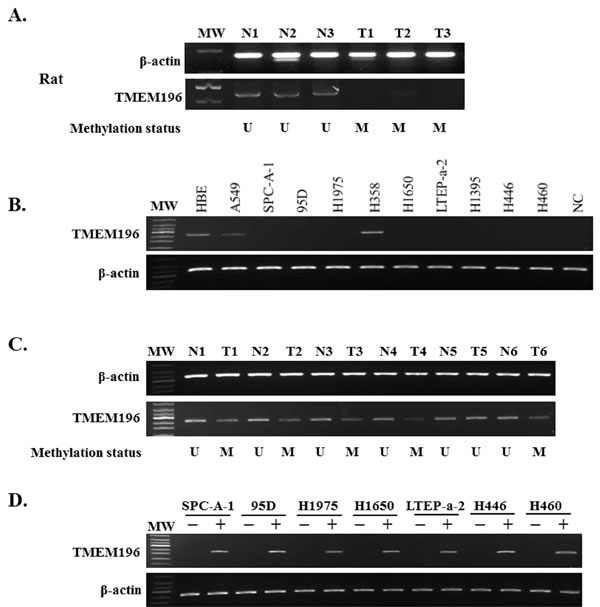 fig2