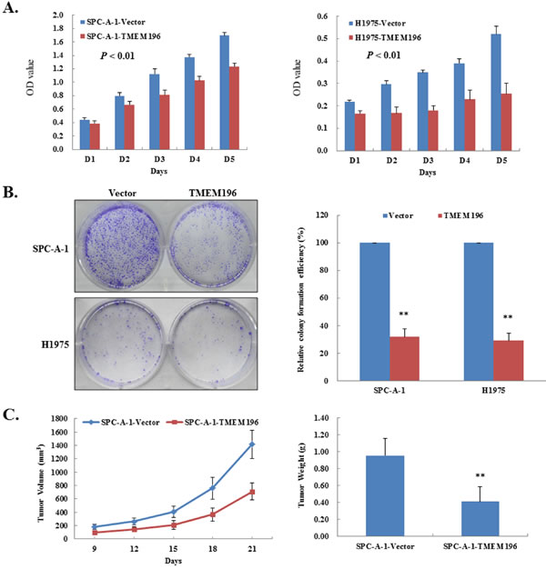 fig3