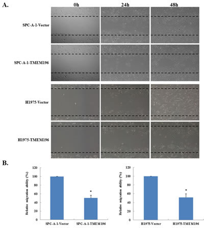 fig5