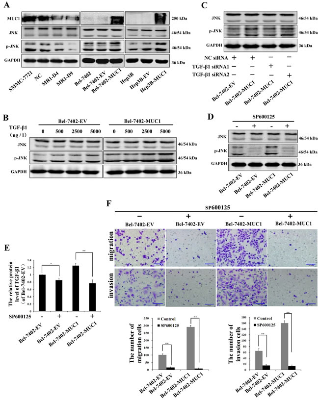 fig4