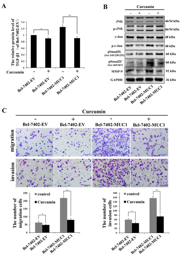 fig6