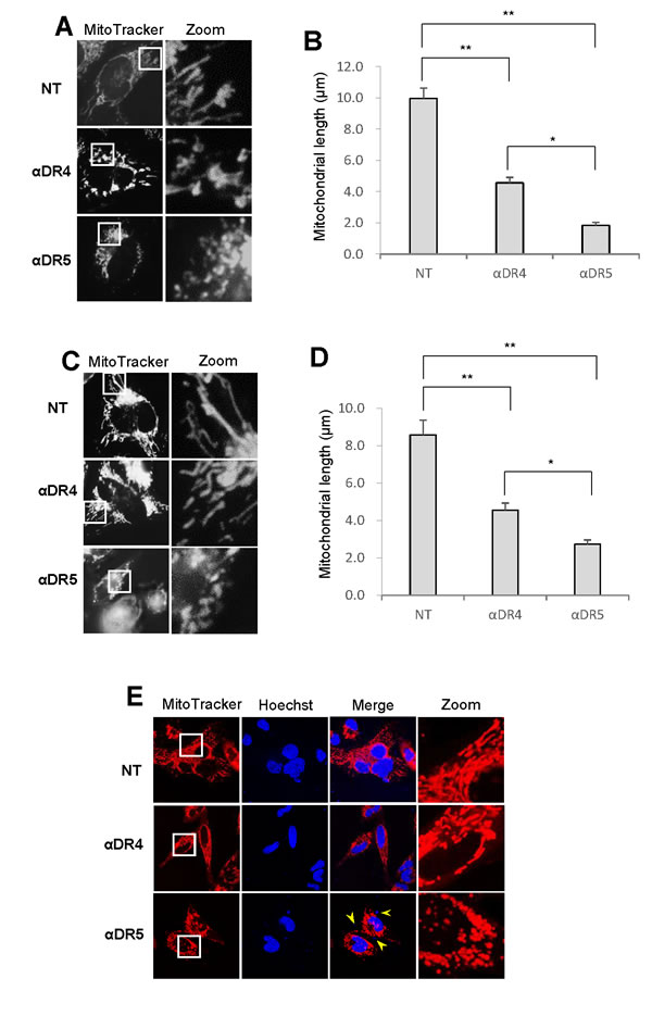 fig3
