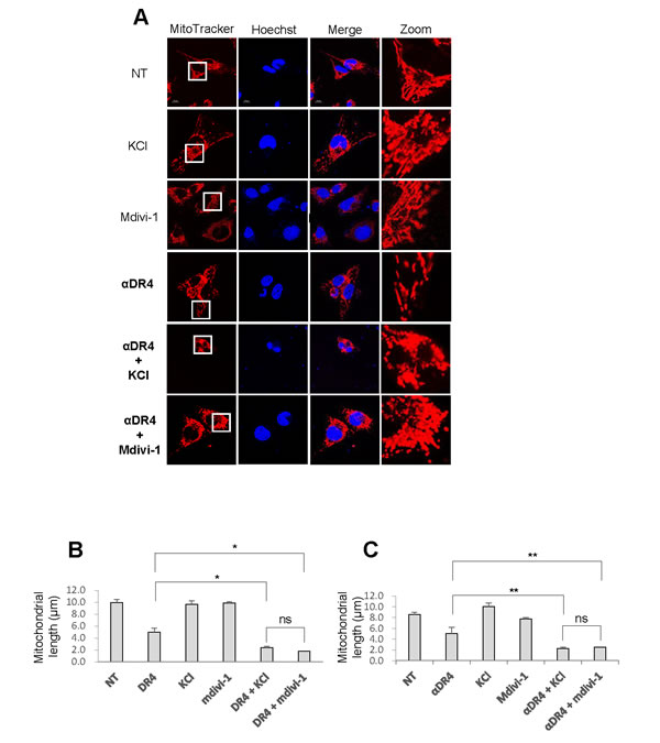 fig6