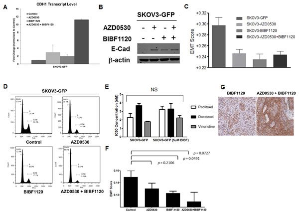 fig6