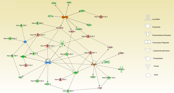 fig4