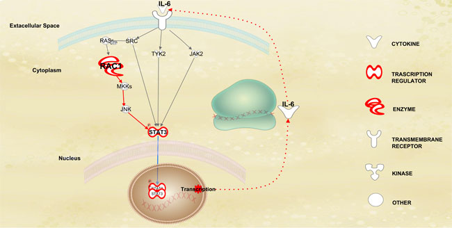 fig6