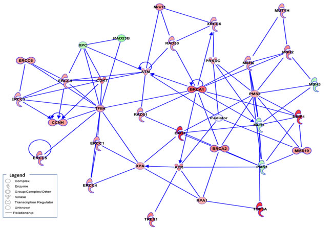 fig4