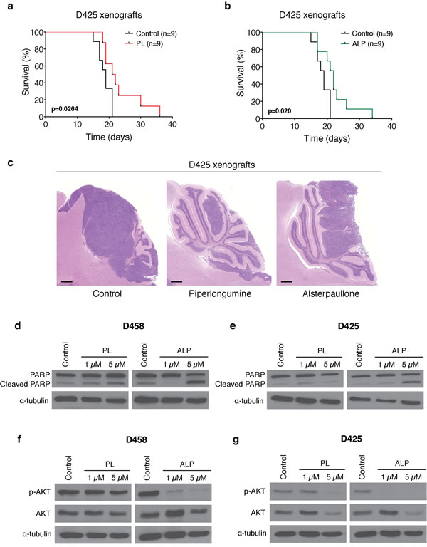 fig3