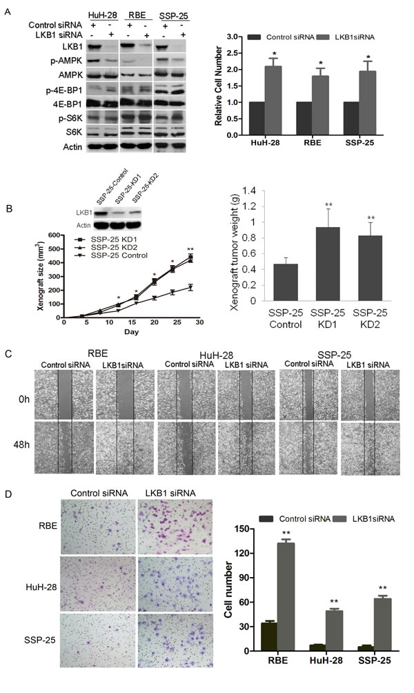 fig3