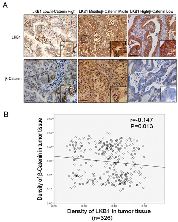 fig6