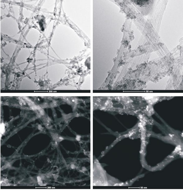 fig3a