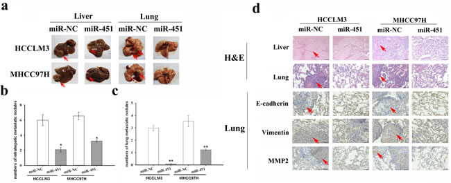 fig3