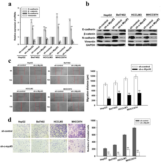 fig4