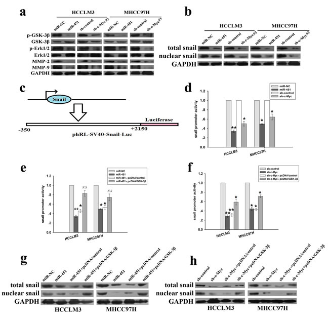 fig6