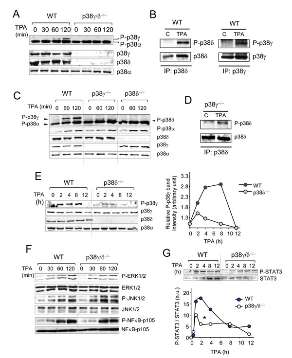 fig5