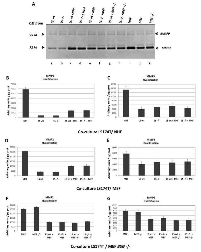 fig2