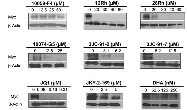 fig6