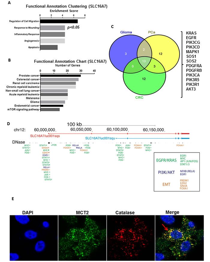 fig3
