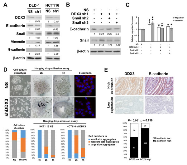 fig3