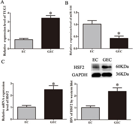fig2