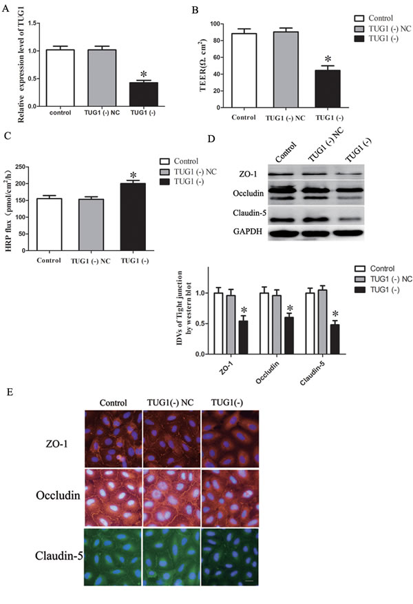 fig3
