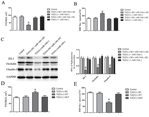fig6
