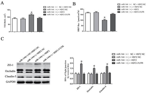 fig8