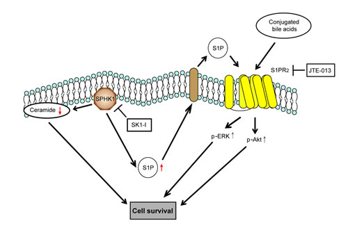 fig5