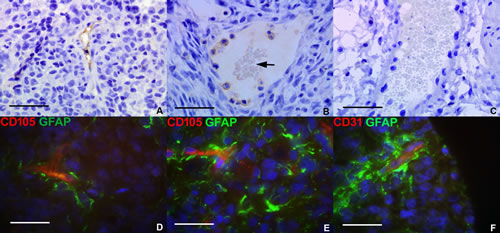 fig3