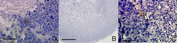 fig4