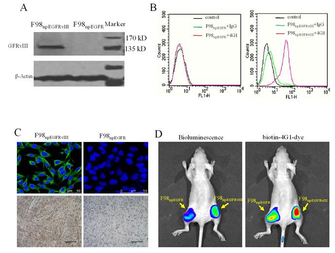 fig3