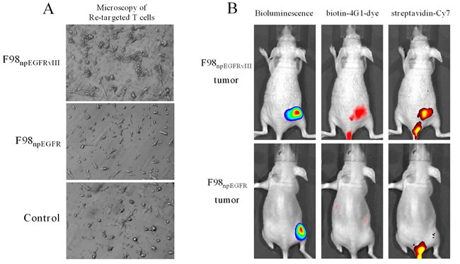 fig4