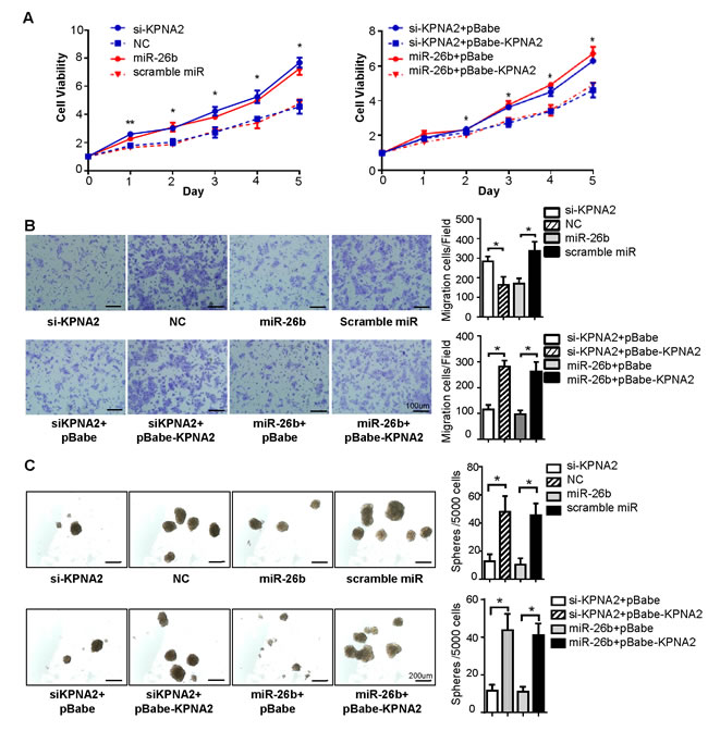 fig3