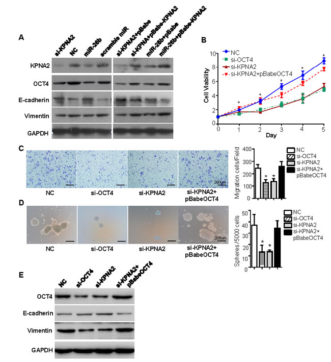 fig4
