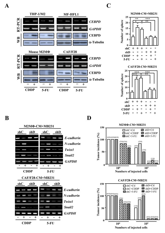 fig1
