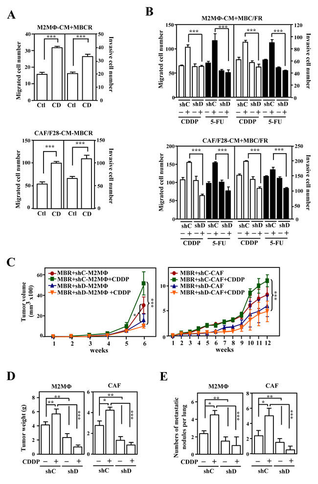fig2