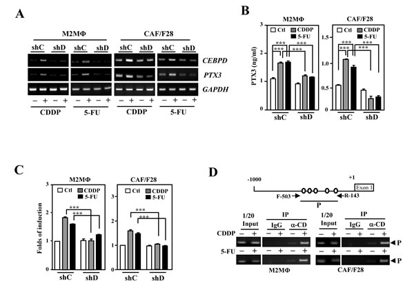 fig3