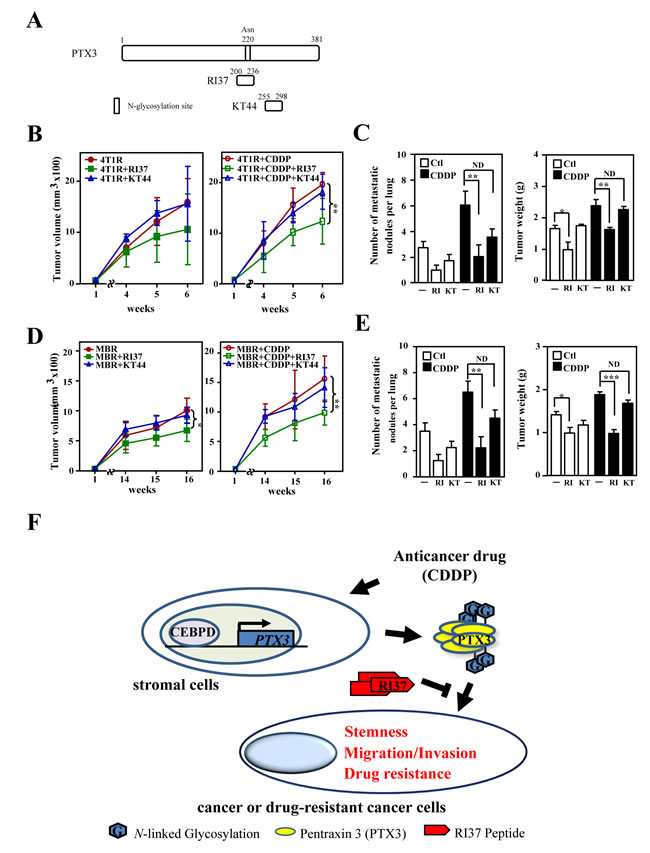 fig6