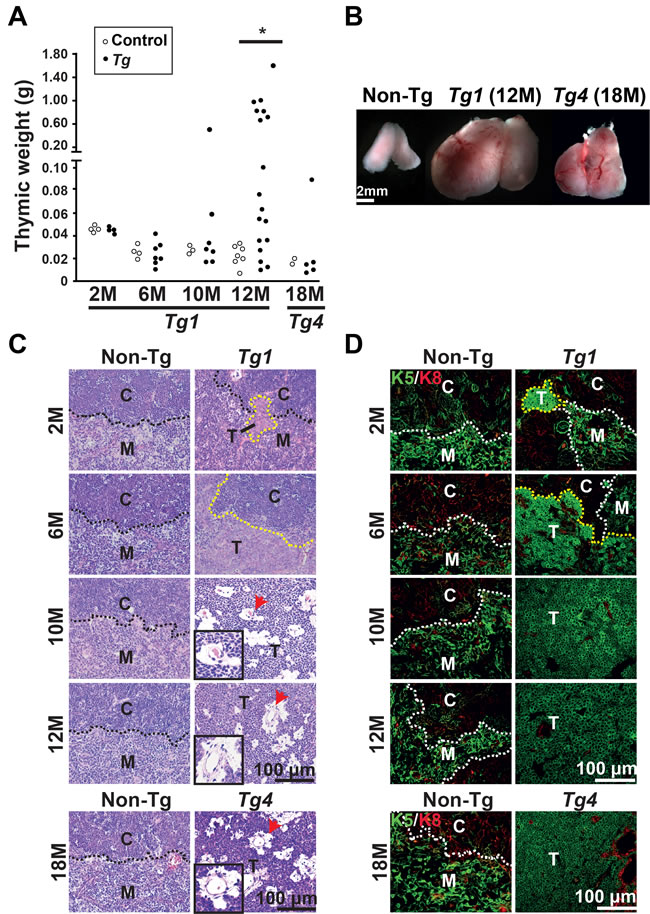 fig2