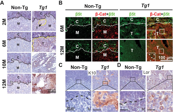 fig6