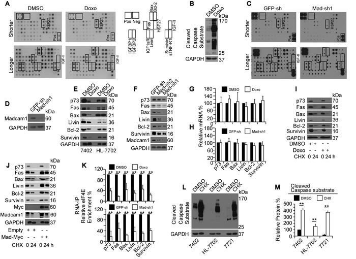 fig3