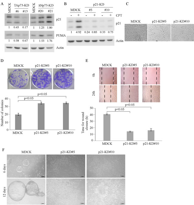 fig3