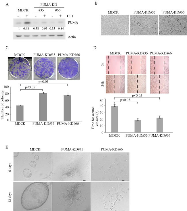 fig4