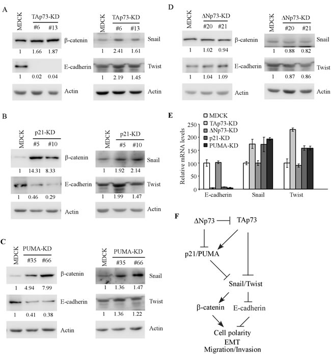 fig5
