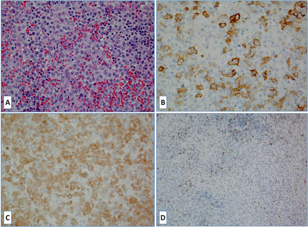 fig3