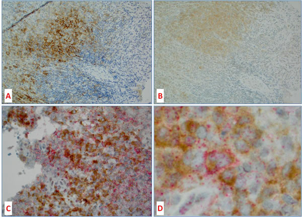 fig4