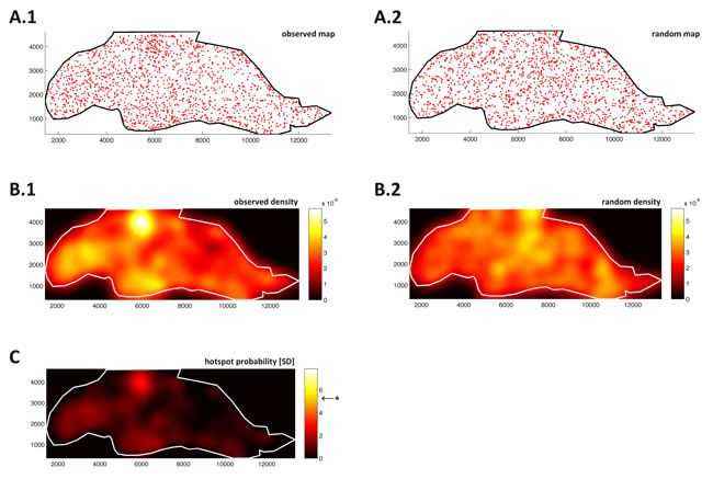 fig3