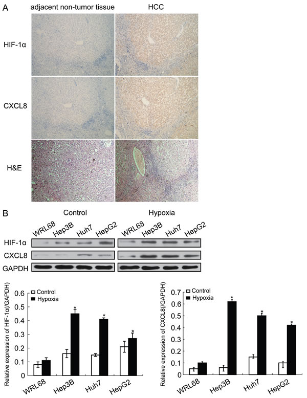 fig1