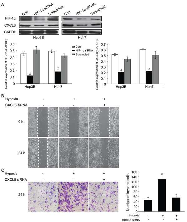 fig2